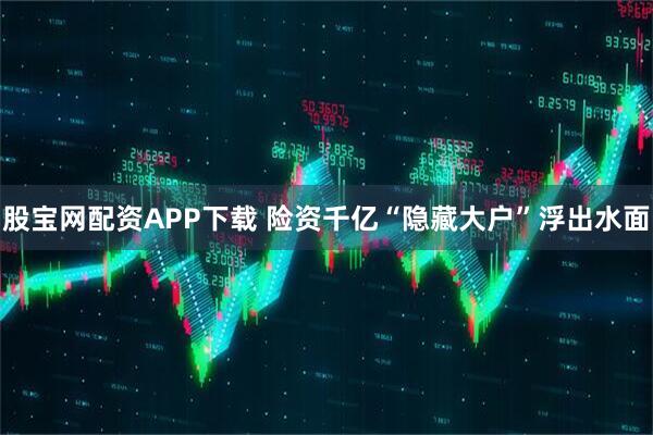 股宝网配资APP下载 险资千亿“隐藏大户”浮出水面