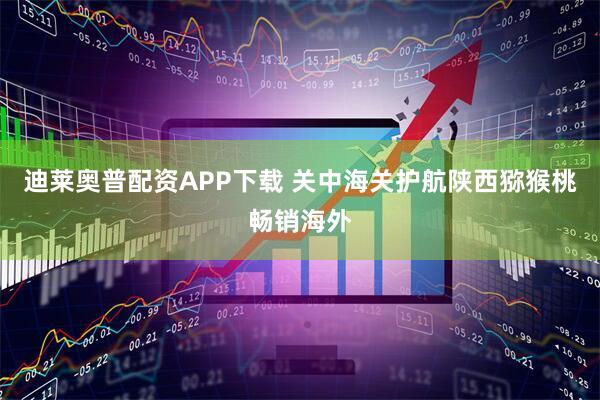 迪莱奥普配资APP下载 关中海关护航陕西猕猴桃畅销海外