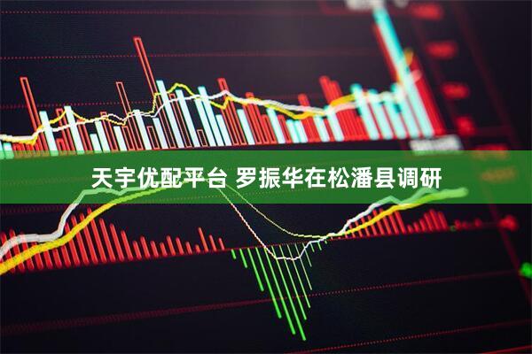 天宇优配平台 罗振华在松潘县调研